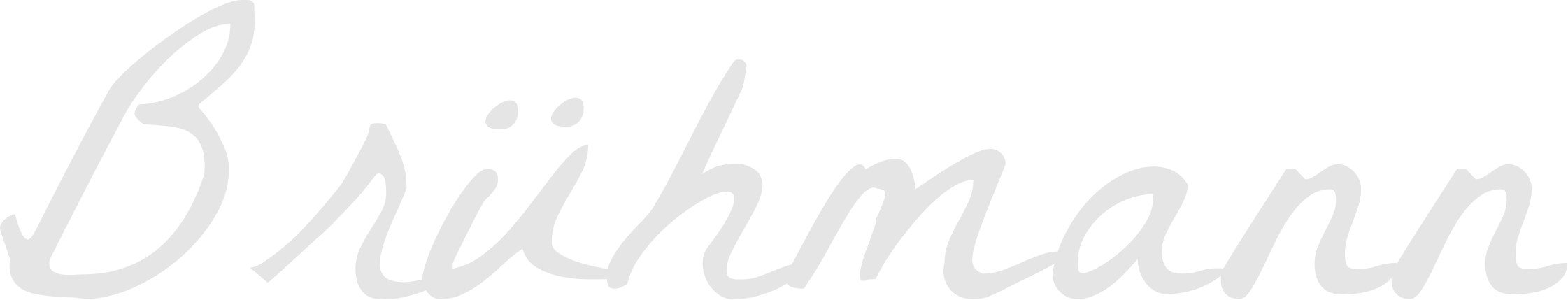 Partnervermittlung rhein main gebiet